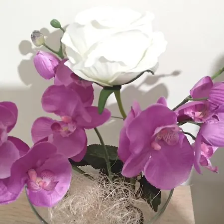 Theano's Cozy & Quiet Lux Flat - Wifi & Full Amenities